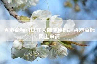 香港商标可以在大陆使用吗，香港商标网上申请