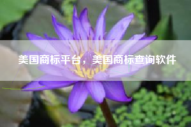 美国商标平台，美国商标查询软件