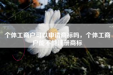 个体工商户可以申请商标吗，个体工商户能不能注册商标