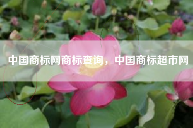 中国商标网商标查询，中国商标超市网