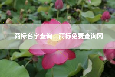 商标名字查询，商标免费查询网