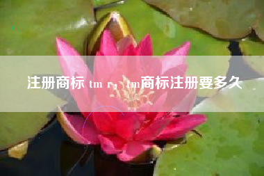 注册商标 tm r，tm商标注册要多久