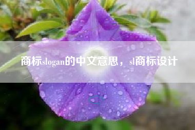 商标slogan的中文意思，sl商标设计
