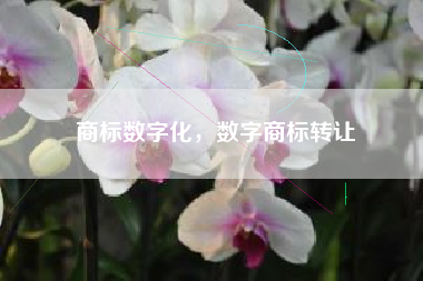商标数字化，数字商标转让