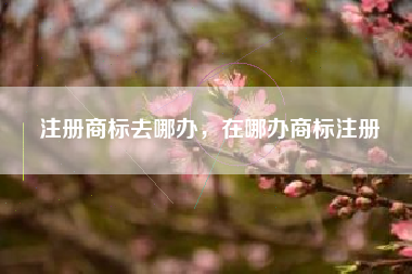 注册商标去哪办，在哪办商标注册