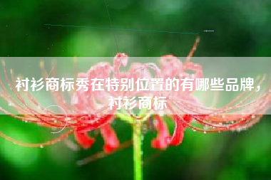 衬衫商标秀在特别位置的有哪些品牌，衬衫商标