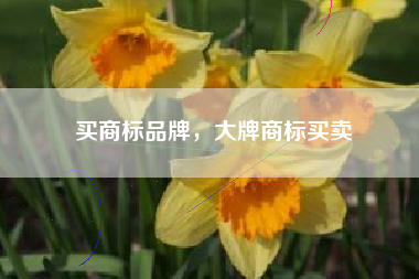 买商标品牌，大牌商标买卖