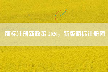 商标注册新政策 2020，新版商标注册网