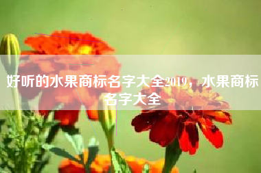 好听的水果商标名字大全2019，水果商标名字大全