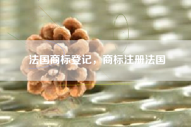法国商标登记，商标注册法国