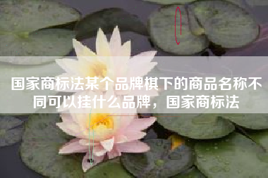 国家商标法某个品牌棋下的商品名称不同可以挂什么品牌，国家商标法