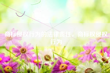 商标侵权行为的法律责任，商标权侵权行为