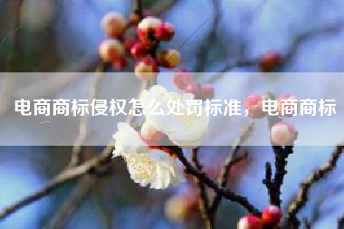 电商商标侵权怎么处罚标准，电商商标