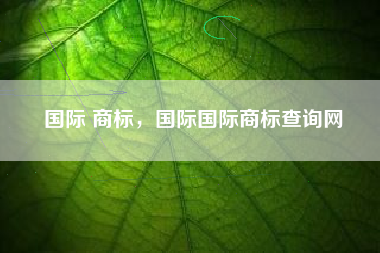 国际 商标，国际国际商标查询网