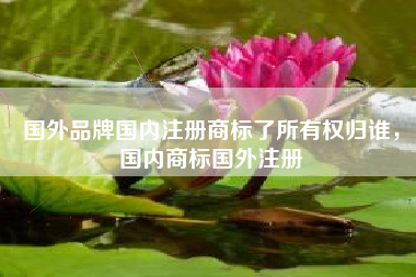 国外品牌国内注册商标了所有权归谁,国内商标国外注册 国外品牌国内注册商标了所有权归谁,国内商标国外注册