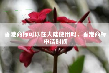 香港商标可以在大陆使用吗，香港商标申请时间