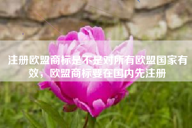 注册欧盟商标是不是对所有欧盟国家有效，欧盟商标要在国内先注册