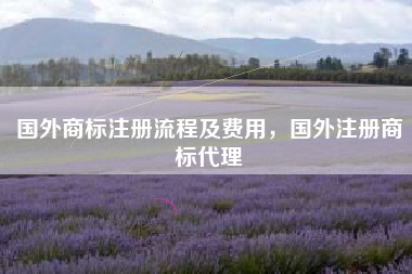 国外商标注册流程及费用，国外注册商标代理