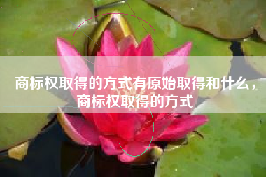 商标权取得的方式有原始取得和什么，商标权取得的方式