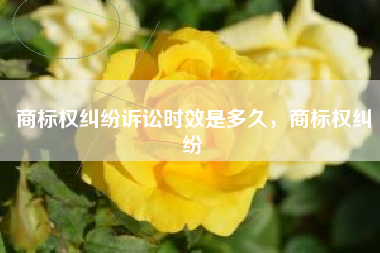 商标权纠纷诉讼时效是多久，商标权纠纷