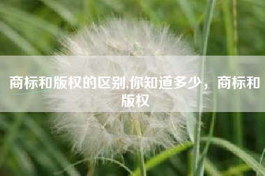 商标和版权的区别,你知道多少，商标和版权