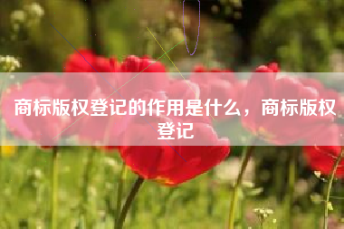 商标版权登记的作用是什么，商标版权登记