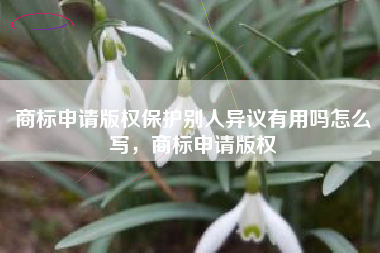 商标申请版权保护别人异议有用吗怎么写，商标申请版权