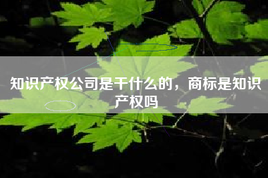 知识产权公司是干什么的，商标是知识产权吗
