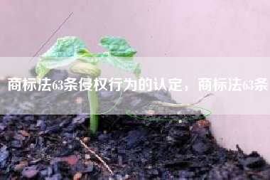 商标法63条侵权行为的认定，商标法63条