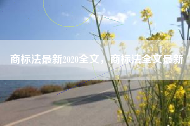商标法最新2020全文，商标法全文最新
