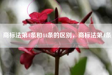 商标法第4条和44条的区别，商标法第4条