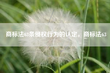 商标法63条侵权行为的认定，商标法63