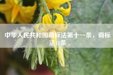 中华人民共和国商标法第十一条，商标法11条