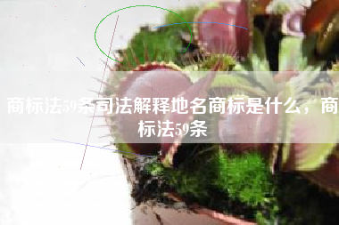 商标法59条司法解释地名商标是什么，商标法59条
