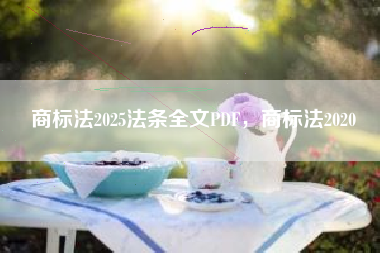 商标法2025法条全文PDF，商标法2020