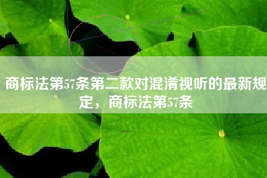 商标法第57条第二款对混淆视听的最新规定，商标法第57条