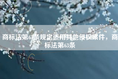 商标法第63条规定适用其他侵权案件，商标法第63条
