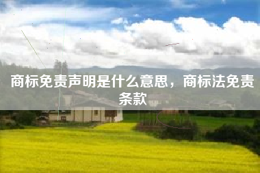 商标免责声明是什么意思，商标法免责条款