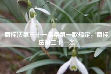 商标法第三十一条条第一款规定，商标法第三十一条