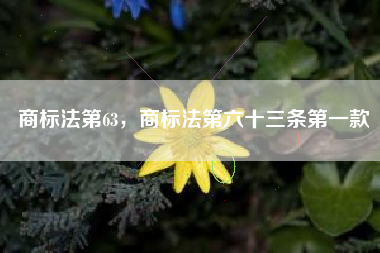商标法第63,商标法第六十三条第一款 商标法第63,商标法第六十三条第一款