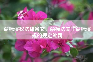 商标侵权法律条文，商标法关于商标侵权的规定处罚