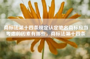 商标法第十四条规定认定驰名商标应当考虑的因素有哪些，商标法第十四条