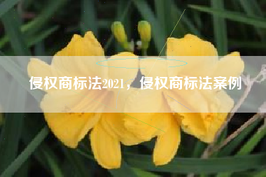 侵权商标法2021，侵权商标法案例