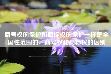商号权的保护和商标权的保护一样是全国性范围的，商号权和商标权的区别