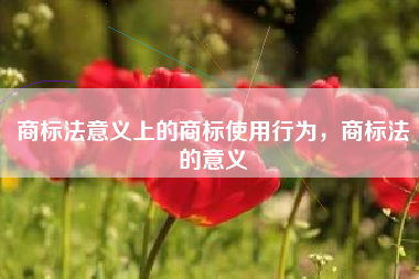 商标法意义上的商标使用行为，商标法的意义