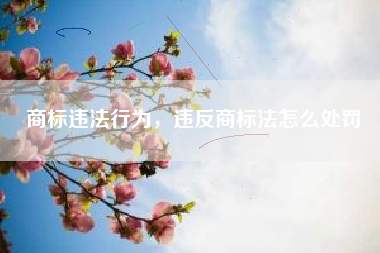 商标违法行为，违反商标法怎么处罚