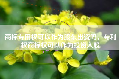 商标专用权可以作为股东出资吗，专利权商标权可以作为投资入股
