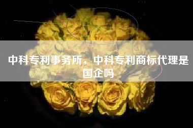 中科专利事务所，中科专利商标代理是国企吗
