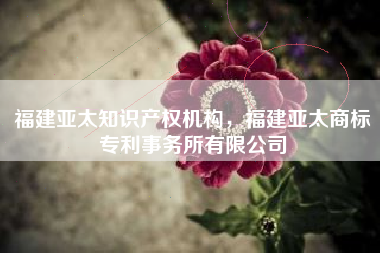 福建亚太知识产权机构，福建亚太商标专利事务所有限公司