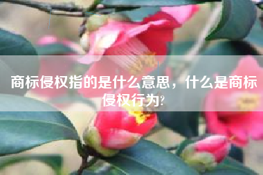 商标侵权指的是什么意思，什么是商标侵权行为?